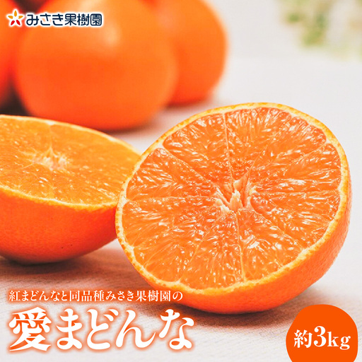 【先行受付】紅まどんなと同品種みさき果樹園の愛まどんな3kg【E21-36】YWTBC018