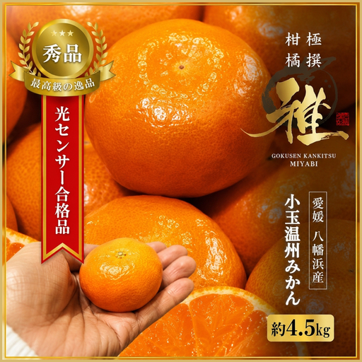[先行受付]極撰柑橘[雅]光センサー合格品 甘さ際立つ「小玉温州みかん」約4.5キロ[C39-64][配送不可地域:離島][1616826]