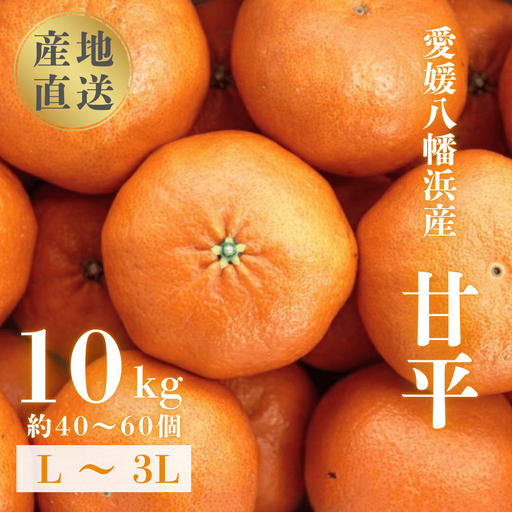 【先行受付】【愛媛が誇る 高級みかん 希少品種】甘平 (かんぺい) 10kg【H20-67】【1620337】 YWTI062