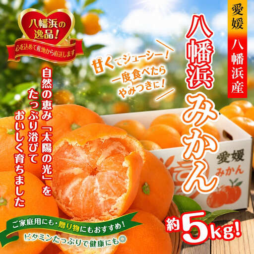 【先行受付】太陽の光・石垣の反射光・海面の反射光を浴びて育った「八幡浜みかん」約5キロ【C39-79】【配送不可地域：離島】【1636310】 YWTF054