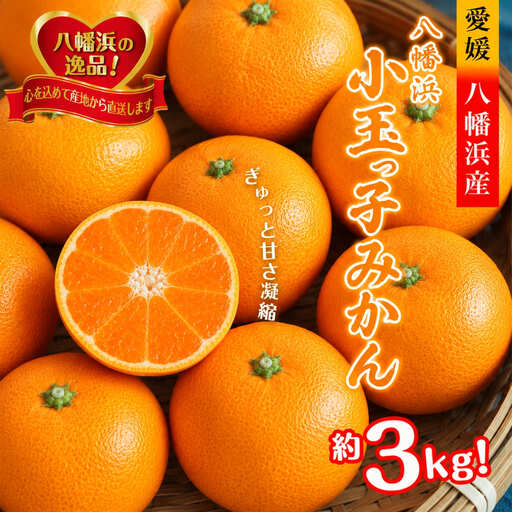 【先行受付】小粒・濃厚な味わい!!「八幡浜小玉っ子みかん」約3kg【A39-80】【配送不可地域：離島】【1639302】 YWTF055
