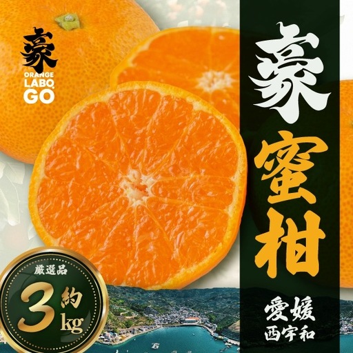 【先行受付】豪 蜜柑　3kg(S～Lサイズ)【C88-2】【1660449】  YWTE002