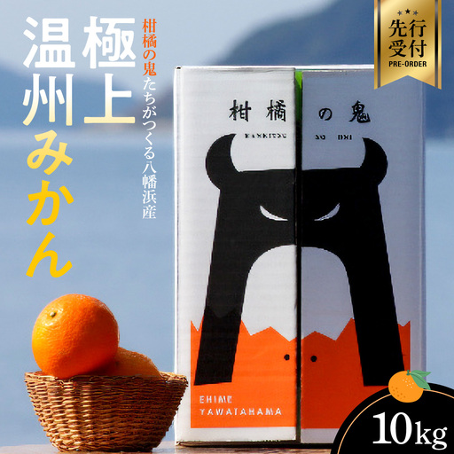 【先行受付】極上温州みかん 計10kg 愛媛県八幡浜市産【E56-75】【1662930】 YWTAS065