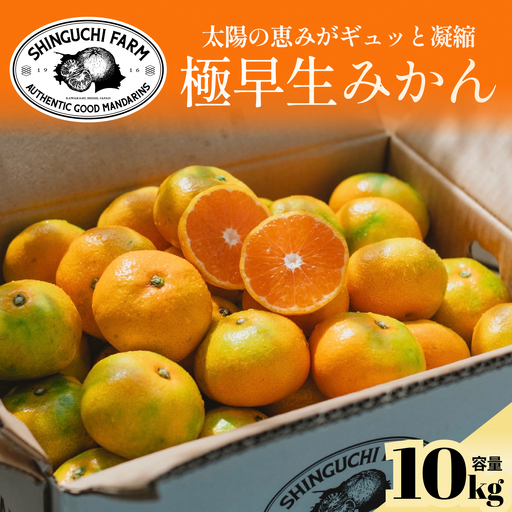 【小玉サイズ限定】五代目が厳選した極早生みかん10kg【愛媛県川上産】【C70-89】【1669133】 YWTK088