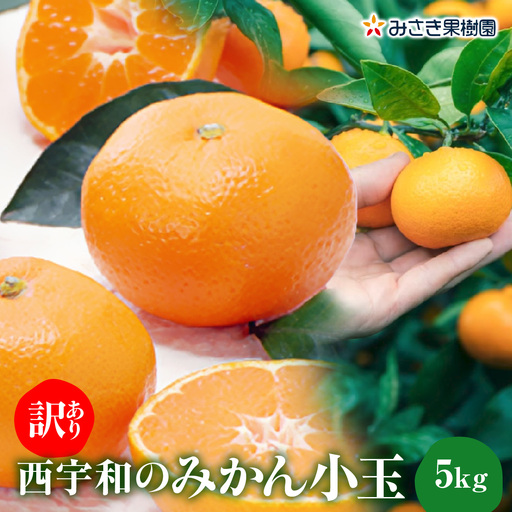 【先行受付】【訳あり】西宇和みかん小玉5kg(小玉3S～Sサイズ込み)【C21-46】YWTBC027