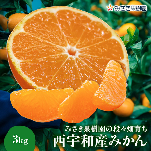 [先行受付]みさき果樹園の段々畑育ち 西宇和産みかん3kg[B21-48]YW