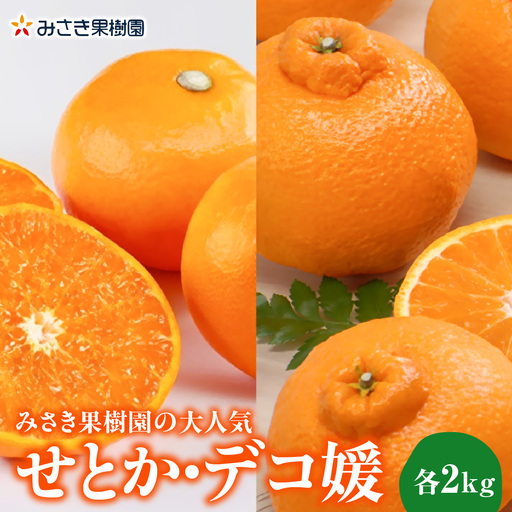 [先行受付]みさき果樹園の大人気せとか・デコ媛各2kg[C21-60]YW