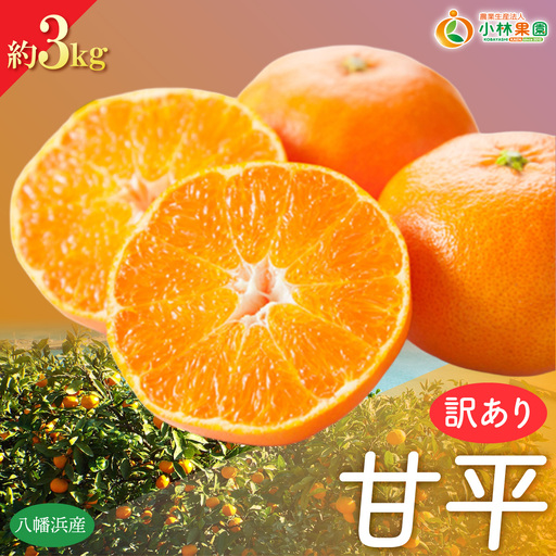 【先行受付】★訳アリ★【数量限定300箱】　愛媛・小林果園の甘平(かんぺい)約3キロ【C24-39】【1711287】 YWTAD030