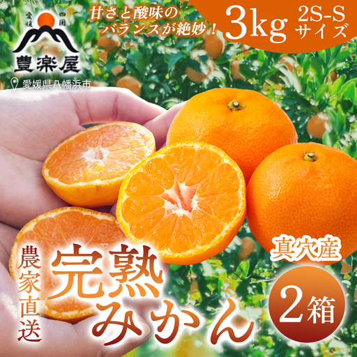 【先行受付】【農家直送でお届け!】果汁たっぷり真穴産みかん 3kg×2箱(2S～Sサイズ)【F98-18】【1711298】 YWTBU018