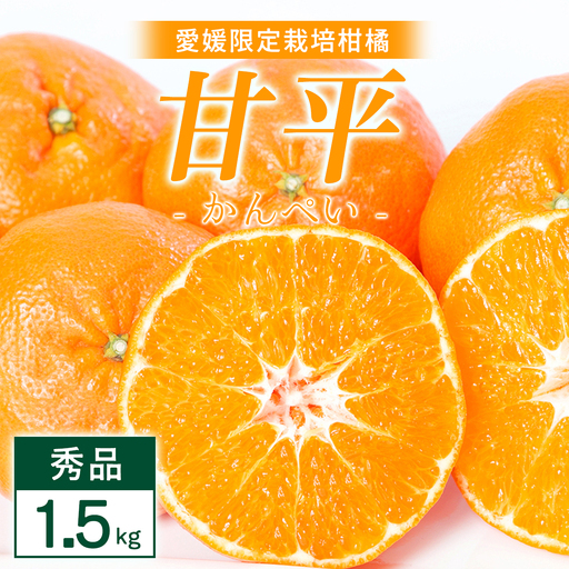 【先行受付】甘平 1.5kg 愛媛県 八幡浜市 西宇和地区 扁平で濃い味【D25-330】【1714513】 YWTAP271