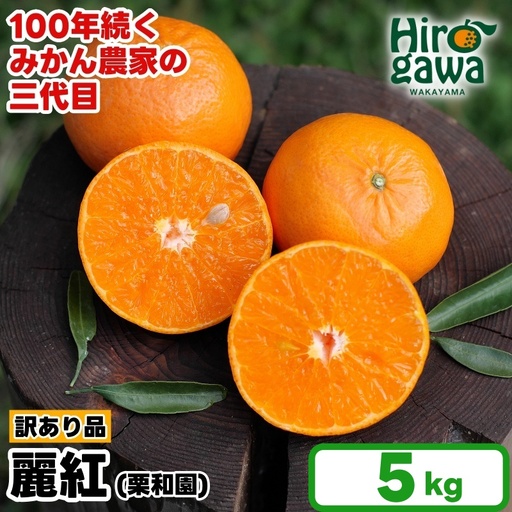 麗紅 れいこう 訳あり 5kg / オレンジ 甘い 家庭用 和歌山 有田 柑橘 ※2027年2月中旬〜3月下旬に順次発送 【krw012-c-5A】