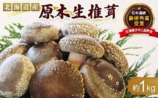 [先行予約]2026年8月以降順次発送 原木栽培 生椎茸 約1kg 里の恵 しいたけ シイタケ きのこ キノコ 椎茸 野菜 F21X-575