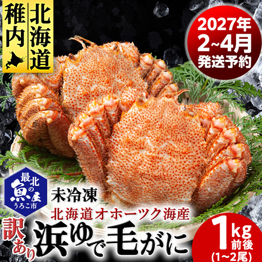 未冷凍 浜ゆで毛ガニ 訳あり品(キズ・足欠等) 1kg前後（1-2尾入）