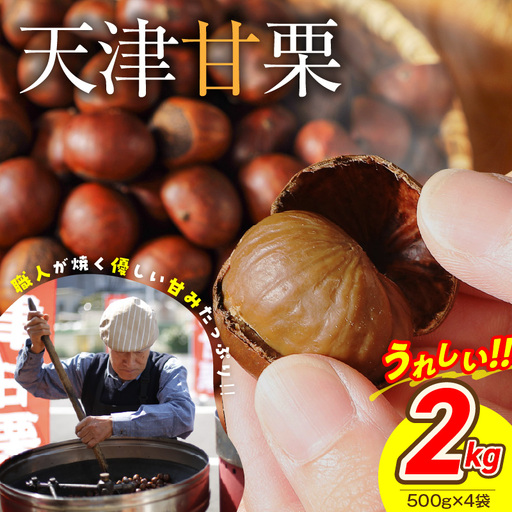 この道50年の職人が焼く､やさしい甘みたっっっぷり！｢天津甘栗｣ 2kg 焼きたて 栗 くり 栗爪 殻付き お菓子 おつまみ 人気 高リピート 小分け 栗ご飯 栗きんとん 甘露煮  碧南市 H045-107
