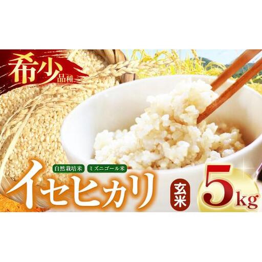 自然栽培 イセヒカリ 5kg 玄米 | 農薬 肥料不使用 天日干し