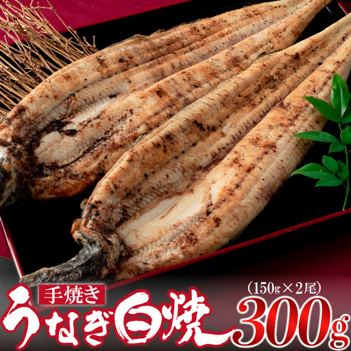 九州産手焼きうなぎ白焼き 2尾（約300g） [M635-1]
