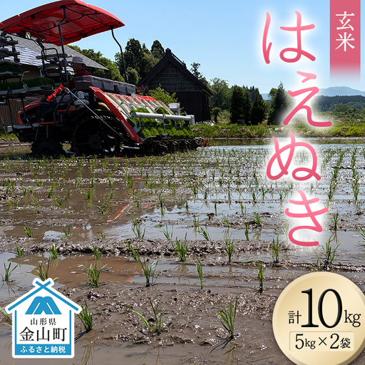＜先行予約＞令和８年産【玄米】はえぬき10kg（5kg×2）　（マイスター監修） 米 お米 白米 ご飯 ブランド米 山形 金山町  F4B-0815