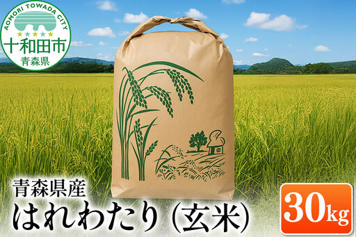 玄米 青森県産はれわたり 30kg×1袋【令和7年産】