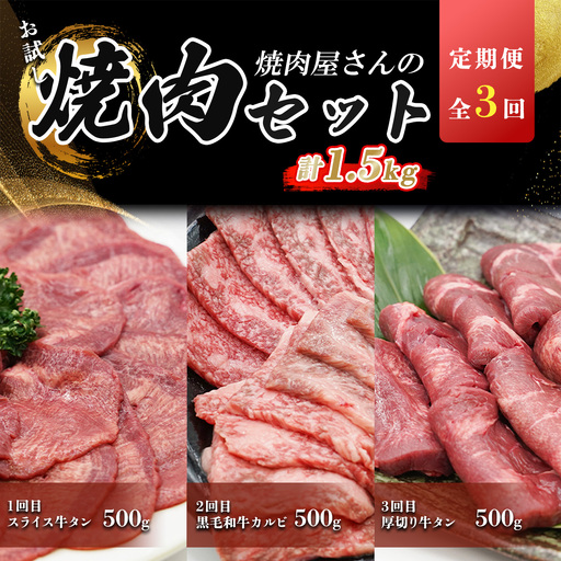定期便 全3回 牛肉 お楽しみ定期便 計1.5kg