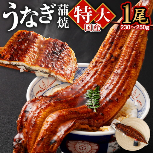 国産 うなぎ 蒲焼 1尾 （230g ～ 250g） と 特製タレ 1個 セット