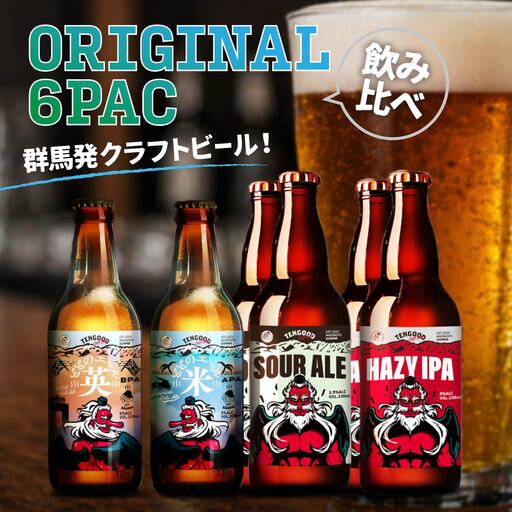 クラフトビール TENGOOD BEER 4種飲み比べセット テングビール
