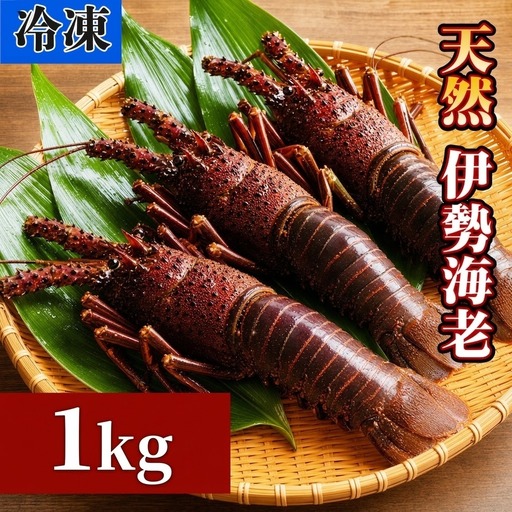 【 冷凍 伊勢海老 】天然 伊勢海老 1.0kg（2～4尾） 黒潮町 ［1083-2］