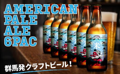 クラフトビール SOUR ALE 6本セット テングビール