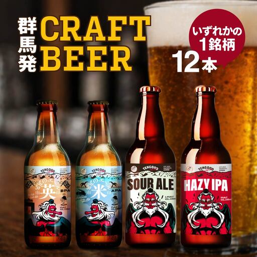 クラフトビール TENGOOD BEER 同一銘柄12本セット テングビール