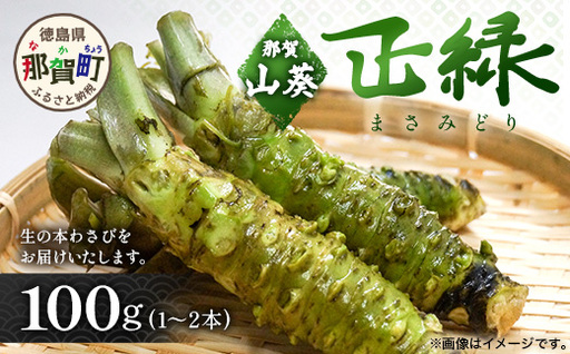 那賀わさび (正緑) 約100ｇ 1～2本 【徳島県 那賀町 生産者直送 産地直送 本わさび わさび ワサビ 生わさび 山葵 野菜 香味野菜 国産 正緑 薬味 調味料 万能 新鮮】FN-01