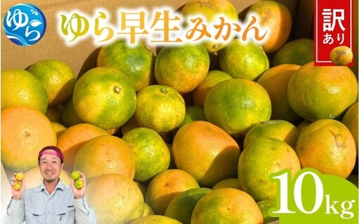 ＼訳あり/ ゆら早生みかん 10kg / みかん ミカン 和歌山県 柑橘 早生 甘い 蜜柑 フルーツ 果物 くだもの 食品 産地直送 由良町 ご家庭用 ゆら早生 早生 ※2026年10月上旬〜10月下旬頃に順次発送予定[kwgc003-c-10A]
