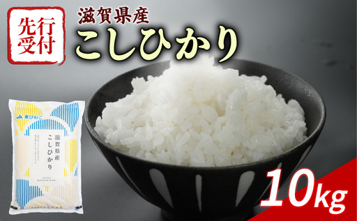 【先行予約】 こしひかり 新米 新米 10kg 令和8年度産