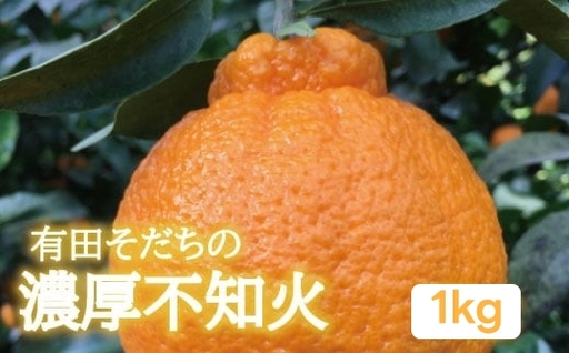 有田育ちの濃厚不知火(家庭用)(通称デコポン) 1kg+200g(傷み補償分) ※2027年1月下旬〜3月下旬に順次発送 ※北海道・沖縄・その他離島地域は発送不可[ard010-c-1A]