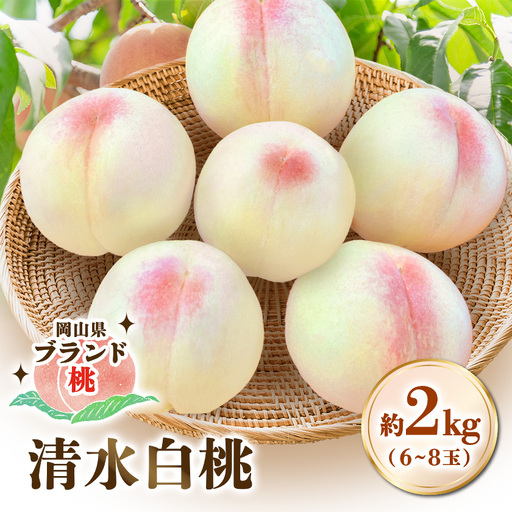 【先行受付|8月上旬頃より順次発送】岡山県ブランド『清水白桃』　約2kg(6~8玉)【配送不可地域：離島・北海道・沖縄県】【1726909】