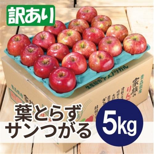 【26年9月順次発送】平均糖度12度以上! 葉とらずサンつがる 約5kg 訳あり 青森県産りんご【配送不可地域：離島・沖縄県】【1732246】