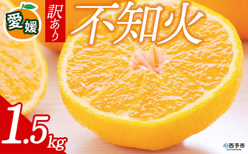 先行予約[訳あり 愛媛県産 不知火 合計約1.5kg] 『2027年2月以降順次出荷予定』しらぬい でこぽん デコポン ご家庭用 ご自宅用 お試し 果物 柑橘 フルーツ 高級 国産 濃厚 果汁 産地直送 特産品 ミヤモトオレンジガーデン 愛媛県 西予市[常温]ONM0021