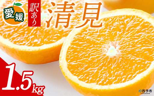 先行予約[訳あり 愛媛県産 清見 合計約1.5kg] 『2027年4月〜6月に順次出荷』きよみ 溢れる果汁 ご家庭用 ご自宅 お試し わけあり 果物 柑橘 フルーツ オレンジ 国産 濃厚 果汁 産地直送 特産品 ミヤモトオレンジガーデン 愛媛県 西予市[常温]ONM0019