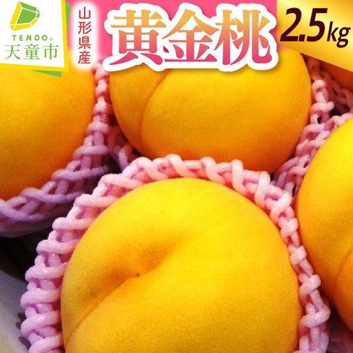 もも 金桃 黄金桃 2.5kg 桃 果物 フルーツ 山形 天童 モモ