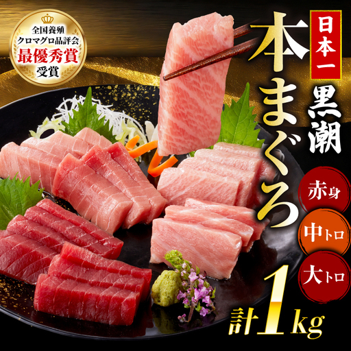本マグロ3種セット 大トロ 中トロ 赤身 1kg まぐろ