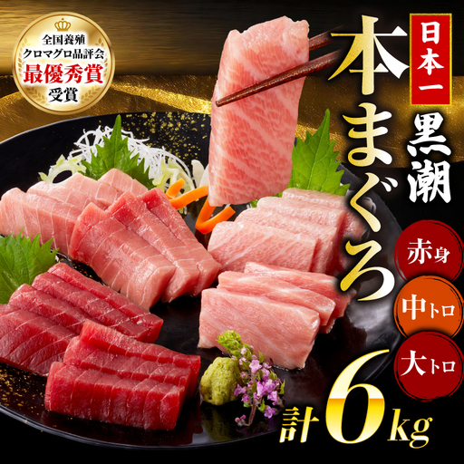 本マグロ3種セット 大トロ 中トロ 赤身 6kg 日本一 まぐろ トロ クロマグロ 黒マグロ 刺身 冷凍 刺し身 鮮魚 本鮪 まぐろ赤身 鮪 魚介 魚 マグロ 漬け 食べ比べ 国産 養殖まぐろ 高級 養殖 人気 寿司 ユッケ 海鮮丼 さしみ お正月 冊 全国養殖クロマグロ品評会 ランキング 1位 高知道水 宿毛市 高知県