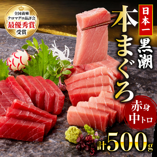 本マグロ2種セット 中トロ 赤身 500g 日本一 まぐろ トロ クロマグロ 黒マグロ 刺身 冷凍 刺し身 鮮魚 本鮪 まぐろ赤身 鮪 魚介 魚 漬け 食べ比べ 国産 養殖 高級 養殖 人気 寿司 ユッケ 海鮮丼 さしみ お正月 冊 全国クロマグロ品評会 ランキング 1位 高知道水 宿毛市 高知県