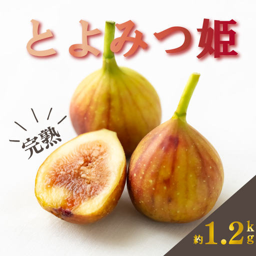【2026年9月下旬-10月下旬発送予定】福岡県産 とよみつ姫 約1.2kg(約300g×4パック入り)｜いちじく とよみつ姫 KBY