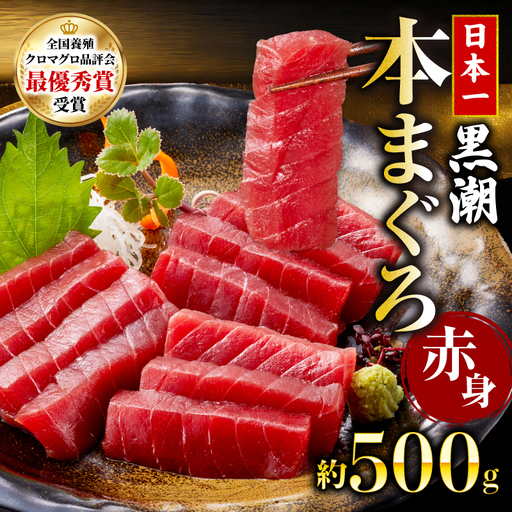 本マグロ 赤身 約500g 日本一 まぐろ トロ クロマグロ 黒マグロ 刺身 冷凍 刺し身 鮮魚 本鮪 まぐろ赤身 鮪 魚介 魚 漬け 食べ比べ 国産 養殖 高級 養殖 人気 寿司 ユッケ 海鮮丼 さしみ お正月 冊 全国クロマグロ品評会 ランキング 1位 高知道水 宿毛市 高知県