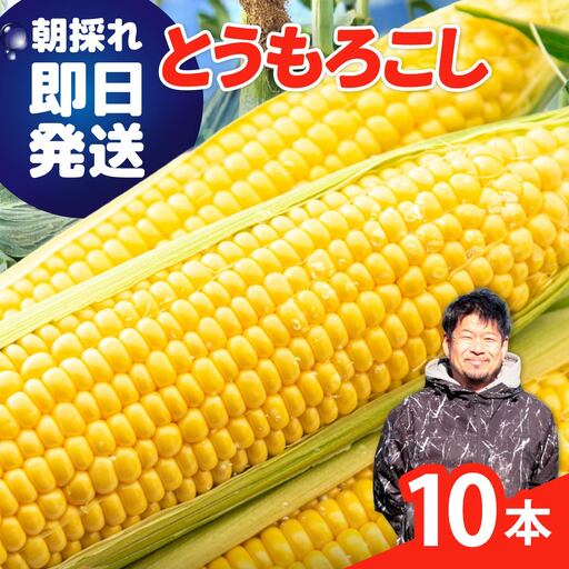 とうもろこし ミルキースイーツ 10本 ゴールドラッシュ トウモロコシ