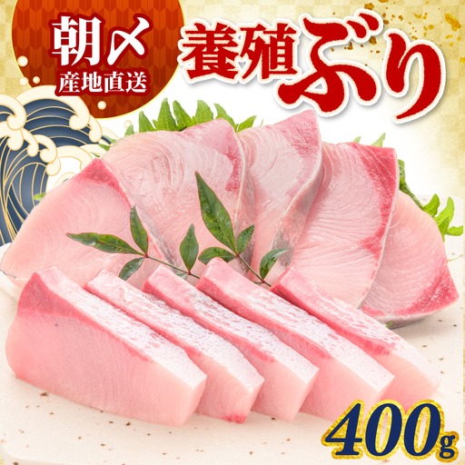 ぶり 400g 冷蔵 刺身 鰤