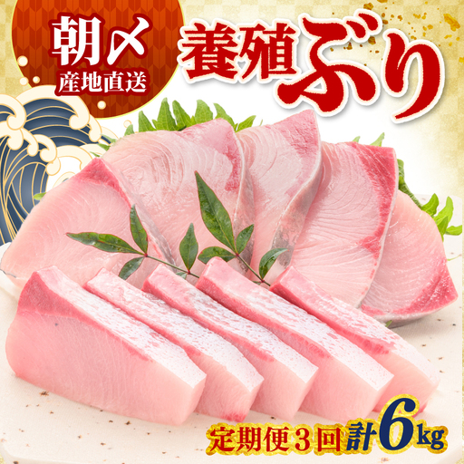 ぶり 定期便 2kg × 3回 冷蔵 刺身 ブリ 鰤 お刺身 たたき しゃぶしゃぶ 鍋 カルパッチョ 丼 鮮魚 魚 お届け指定日 指定日 お試し 新鮮 魚介 海鮮 海産物 海鮮丼 養殖 刺し身 刺し身 ブロック フィレ 柵 ギフト 国産 贈答用 お歳暮 お中元 お祝い 人気 サンライズファーム 高知県 四国 宿毛