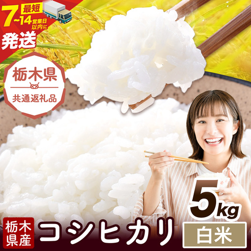 令和7年度産 米 栃木県産 コシヒカリ 白米 5kg[7-14日以内に出荷予定(土日祝除く)]栃木県 野木町 米 白米 精米 国産 お米 おこめ お弁当 おにぎり[栃木県共通返礼品]