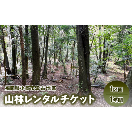 チケット 山林レンタルチケット 小郡市津古地区 1区画 1年間