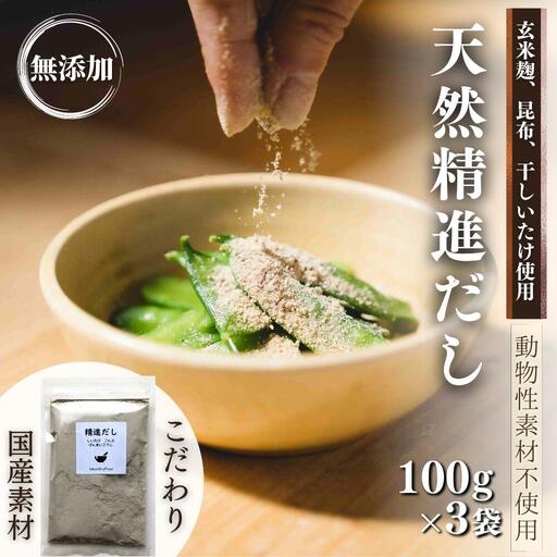 だし 天然精進出汁 100g×3袋 | だし