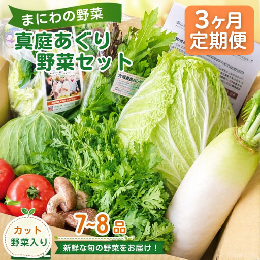 【3カ月定期便】真庭あぐり野菜セット セットカット野菜が1品入る 7～8品 / 詰め合わせ 産地直送 お試し 岡山県 産直工房 新鮮 あぐりガーデン 国産 【配送不可：北海道／沖縄県／離島】  【jujy-tkb048】