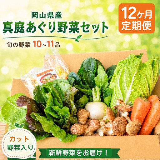 【12カ月定期便】真庭あぐり野菜セット カット野菜が1品入る 10～11品 / 産地直送 農家 お試し 岡山県 新鮮 あぐりガーデン 国産 【配送不可地域：北海道／沖縄県／離島】 【jujy-tkb053】
